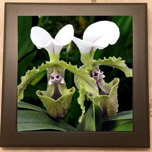 Orchid Art - High Gloss Ceramic Tile Trivet